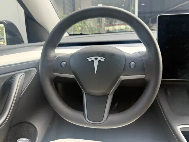 Tesla Model Y — Фото автомобиля 10