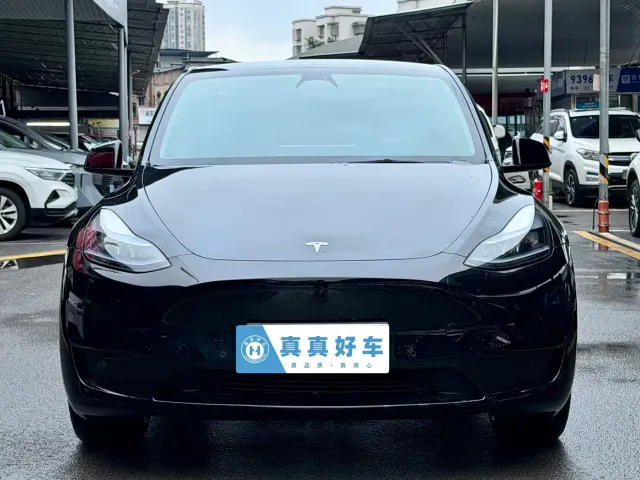 Tesla Model Y — Фото автомобиля 2