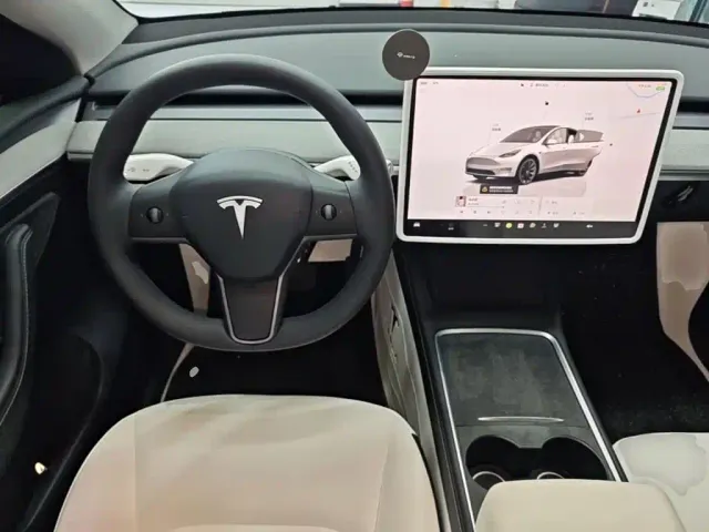 Tesla Model Y — Фото автомобиля 10