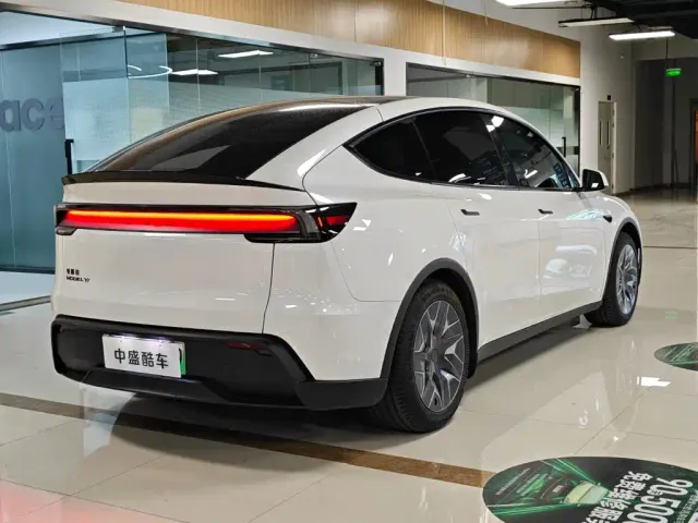 Tesla Model Y L — Фото автомобиля 5