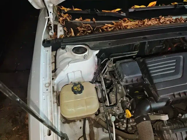 BYD Qin PLUS — Фото автомобиля 18