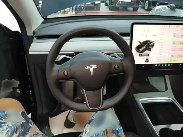 Tesla Model Y — Фото автомобиля 10