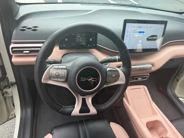 BYD Seagull — Фото автомобиля 10