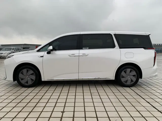 Maxus Dajia 9 — Фото автомобиля 11
