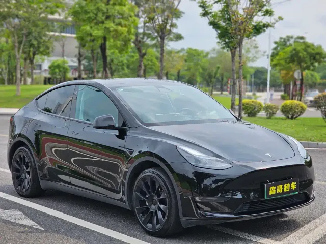 Tesla Model Y — Фото автомобиля 3