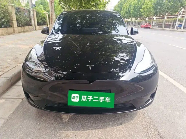 Tesla Model Y — Фото автомобиля 2