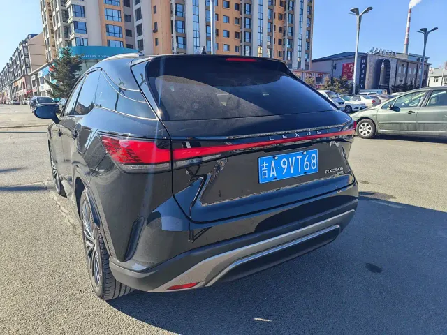 Lexus RX — Фото автомобиля 7