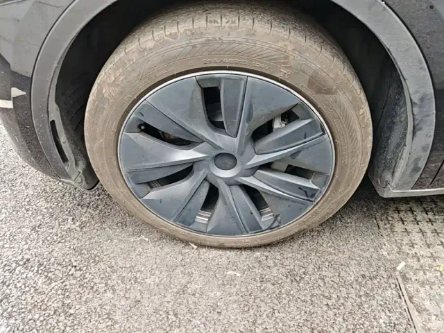 Tesla Model Y — Фото автомобиля 22