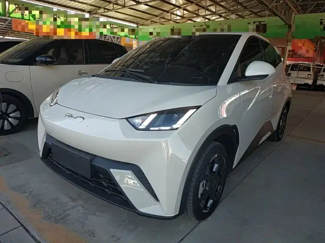 Фотография автомобиля — BYD Seagull