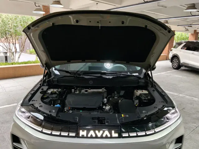 Haval Xiaolong MAX — Фото автомобиля 18