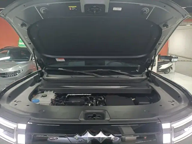 BYD FangChengBao Titanium 7 — Фото автомобиля 19