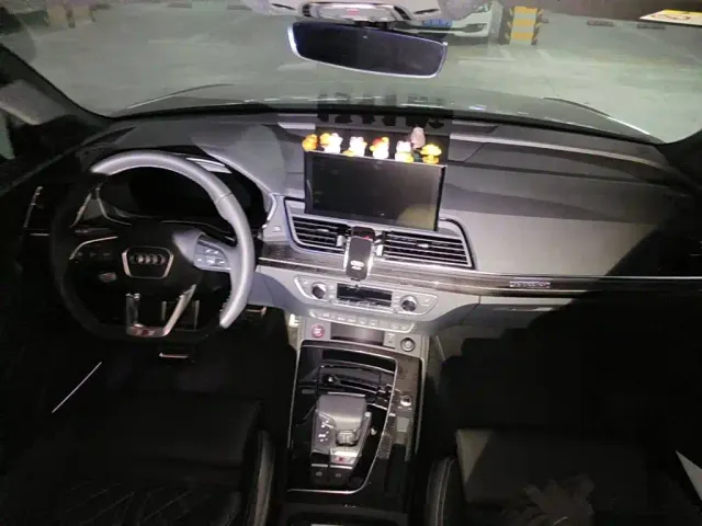 Audi SQ5 — Фото автомобиля 12