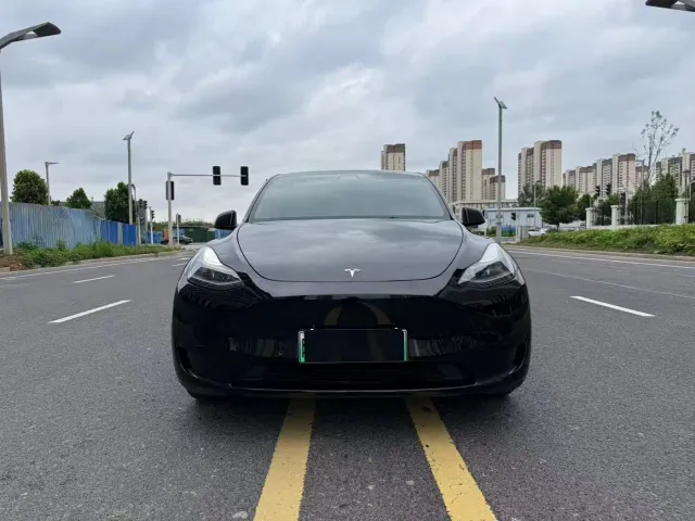 Tesla Model Y — Фото автомобиля 2