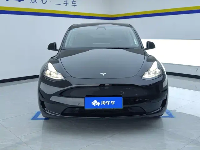 Tesla Model Y — Фото автомобиля 2