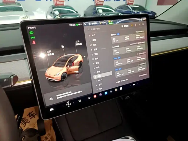 Tesla Model Y — Фото автомобиля 12