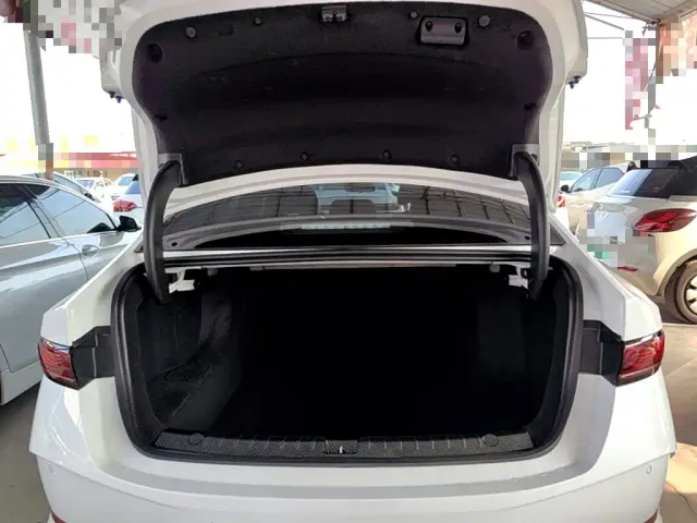 BYD Qin PLUS — Фото автомобиля 18