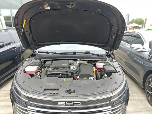 BYD Destroyer 05 — Фото автомобиля 19