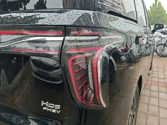 Hongqi HQ9 PHEV — Фото автомобиля 7