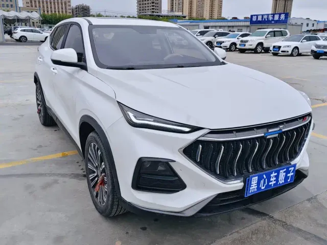 Changan Oshan X7 — Фото автомобиля 3