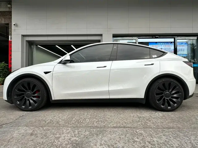 Tesla Model Y — Фото автомобиля 2