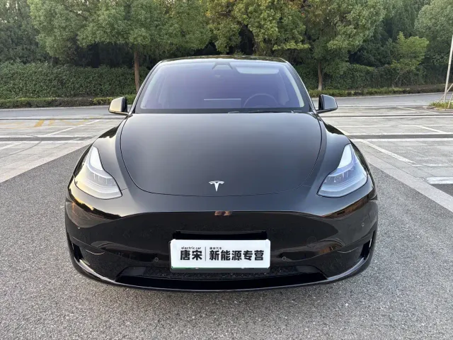 Tesla Model Y — Фото автомобиля 2