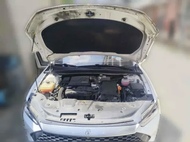 BYD Qin PLUS — Фото автомобиля 3