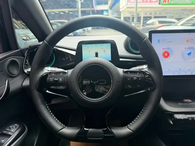 BYD Dolphin — Фото автомобиля 11