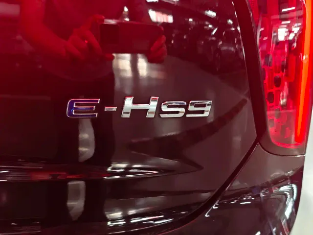 Hongqi E-HS9 — Фото автомобиля 13