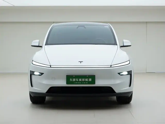 Tesla Model Y — Фото автомобиля 2