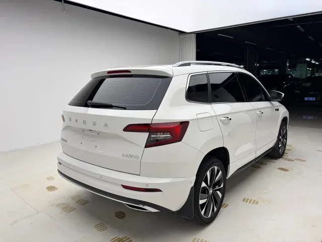 Skoda Karoq — Фото автомобиля 4