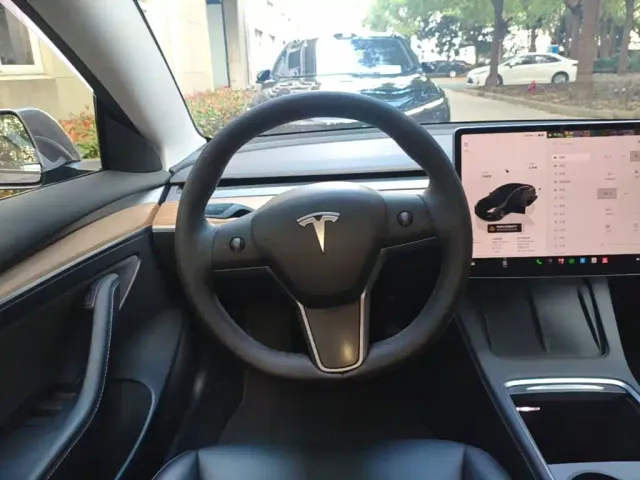 Tesla Model 3 — Фото автомобиля 10