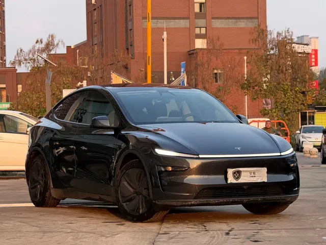 Tesla Model Y — Фото автомобиля 3