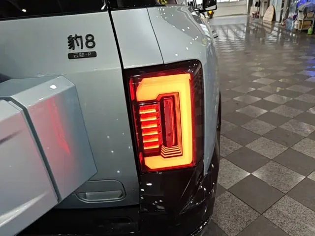 BYD FangChengBao Leopard 8 — Фото автомобиля 7