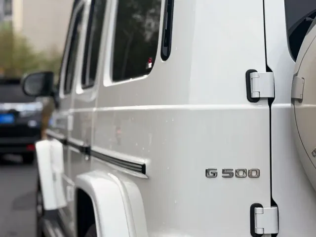 Mercedes-Benz G-Class — Фото автомобиля 8