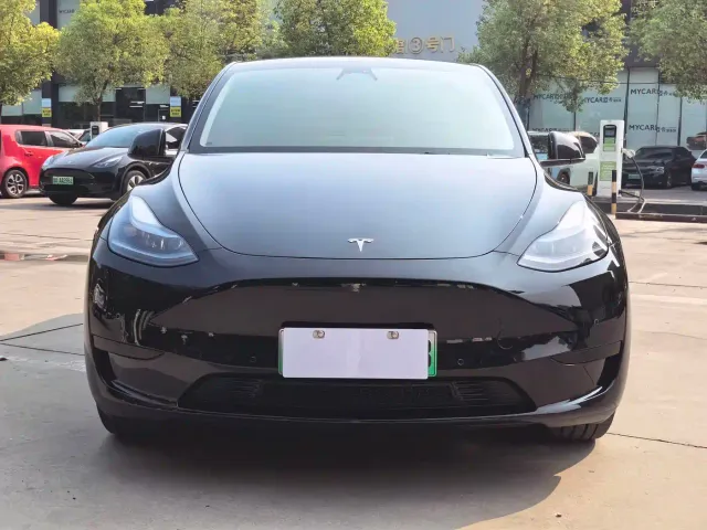 Tesla Model Y — Фото автомобиля 2