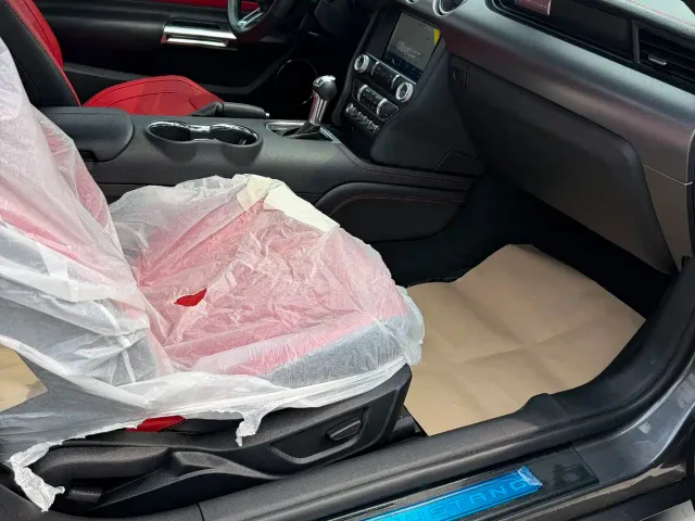 Ford Mustang — Фото автомобиля 18