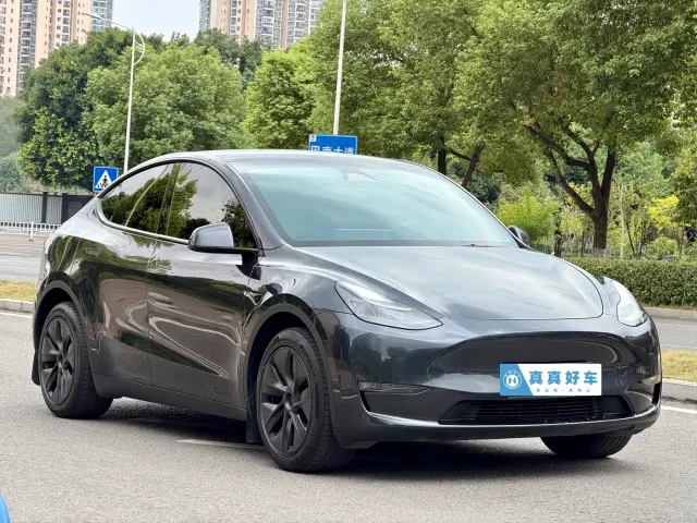 Tesla Model Y — Фото автомобиля 3