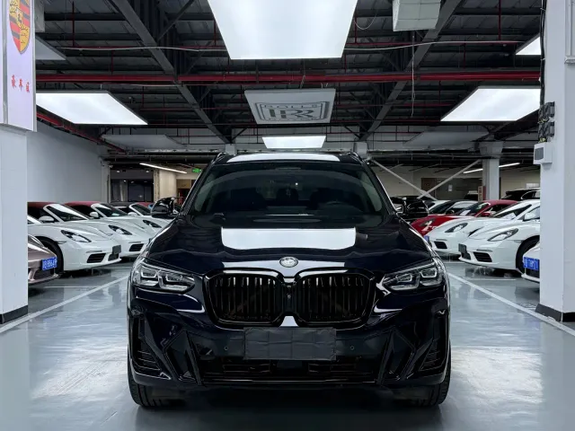 BMW X3 — Фото автомобиля 2