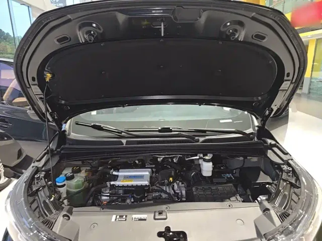 GAC Trumpchi M6 — Фото автомобиля 19