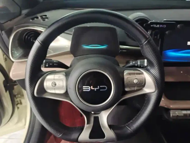 BYD Dolphin — Фото автомобиля 15