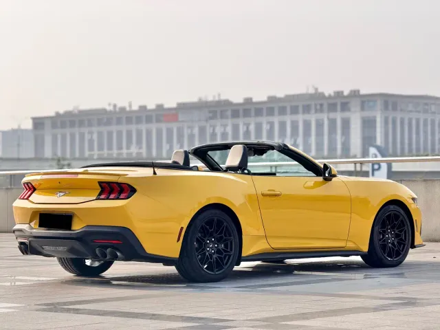 Ford Mustang — Фото автомобиля 6