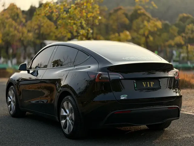 Tesla Model Y — Фото автомобиля 9