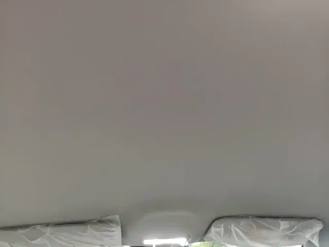 Geely Starry Wish — Фото автомобиля 17