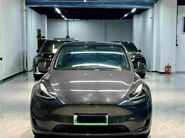 Tesla Model Y — Фото автомобиля 2