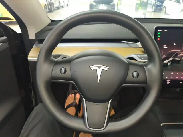 Tesla Model Y — Фото автомобиля 10