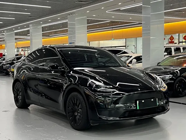 Tesla Model Y — Фото автомобиля 2