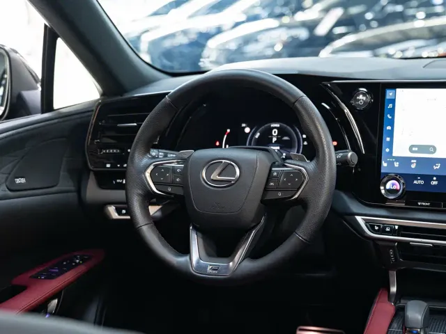 Lexus RX — Фото автомобиля 15