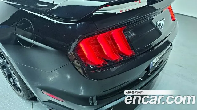 Ford Mustang — Фото автомобиля 19