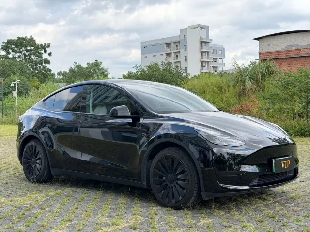 Tesla Model Y — Фото автомобиля 3