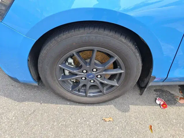 Ford Focus — Фото автомобиля 24